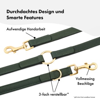 Grüne Haustierleine mit goldenen Beschlägen, verstellbarer Länge und detaillierten Anmerkungen auf Deutsch zu ihrem Design und ihren Eigenschaften.