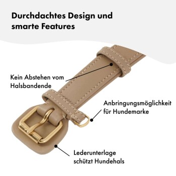 Nahaufnahme eines beigen Hundehalsbands mit einer goldenen Schnalle, das folgende Merkmale hervorhebt: keine Hervorhebung, Anhängerbefestigung und Lederunterlage für Komfort.