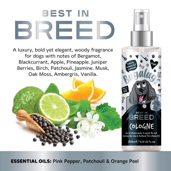 Flasche Bugalugs Best in Breed Hundekölnisch mit Inhaltsstoffen und Duftnoten wie Bergamotte, schwarzer Johannisbeere, Apfel und Ananas.