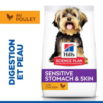 Nourriture pour chiens Hill's Science Plan Sensitive Stomach & Skin avec poulet, recommandée par les vétérinaires, pour la digestion et la peau.