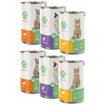 Mixpaket Nr. 5 Monoprotein 6x 400g
