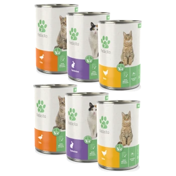 Sechs Dosen Fellicita Katzenfutter, mit Geschmacksrichtungen: Ente, Kaninchen und Huhn, mit Bildern einer Katze und eines Hundes auf den Etiketten.