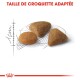 Trois morceaux de croquettes pour animaux de compagnie de formes variées (ronde et triangulaire) sur un contour esquissé, avec le texte "TAILLE DE CROQUETTE ADAPTÉE" au-dessus.