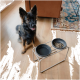 Ein Hund sitzt neben einer modernen erhöhten Futterstation für Haustiere mit zwei schwarzen Schalen; eine Schale enthält Trockenfutter für Hunde.