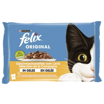 Verpackung von Purina Felix Original Katzenfutter mit dem Gesicht einer schwarz-weißen Katze, mit Text, der die Geschmäcker in Gelee hervorhebt.