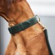 Hundehalsband Plain Dark Moss M
