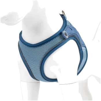 Blaues atmungsaktives Netz-Hundegeschirr an weißer Schaufensterpuppe mit Metall-Leinenring und Pfotenabdruck-Knopf.