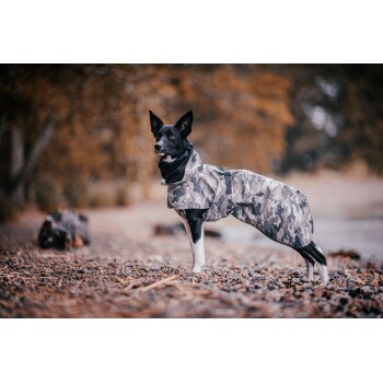 Ein schwarz-weißer Hund, der einen grauen camouflagen Regenmantel trägt, steht auf einer felsigen Oberfläche, mit einem verschwommenen natürlichen Hintergrund.