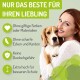 Eine Frau hält einen kleinen Hund, mit dem Text: "Nur das Beste für Ihren Liebling" und Aufzählungspunkten zu Sicherheitsmerkmalen für Haustiere.