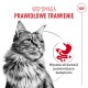 Puszysty kot, czerwony tekst 'WSPOMAGA PRAWIDŁOWE TRAWIENIE' oraz 'Wysoka strawność potwierdzona badaniami', ikona żołądka.