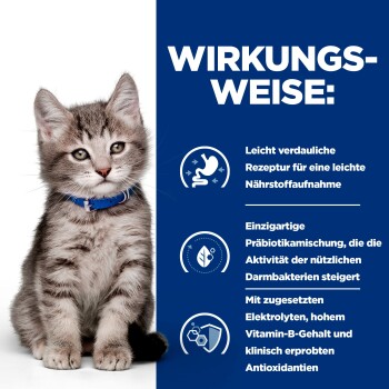 Grau getigerte Kätzchen mit blauem Halsband neben deutschem Text, der die Verdauungs- und Ernährungsbenefits von Tierfutter beschreibt.