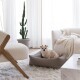 Ein kleiner tanfarbener Hund sitzt bequem in einem braunen Haustierbett auf einem flauschigen weißen Teppich, umgeben von modernen Möbeln und einem Topf-Kaktus.