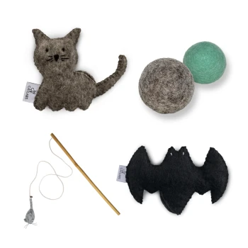 Eine Sammlung von Haustierspielzeugen, darunter eine graue Filzkatze, zwei Filzbälle (einer grün, einer braun), ein fledermausförmiges Spielzeug und ein Stock mit einer Mausbefestigung.