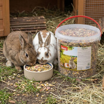 Zwei Kaninchen, die Mischfutter aus einer Schale fressen neben einer Plastikdose mit der Aufschrift 'PANTO' 'Nagerfutter'