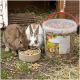 Zwei Kaninchen, die Mischfutter aus einer Schale fressen neben einer Plastikdose mit der Aufschrift 'PANTO' 'Nagerfutter'