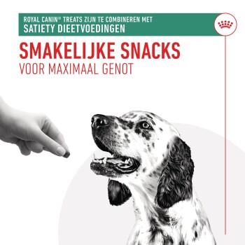 Een hand die een hondensnack boven een blije, gevlekte hond houdt, met tekst die luidt 'Smakelijke Snacks voor maximaal genot' en 'Royal Canin® treats.'