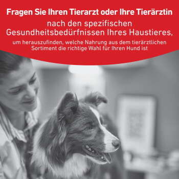 Tierarzt lächelt mit einem Border Collie in einer Klinik; deutscher Bannertext: Fragen Sie Ihren Tierarzt oder Ihre Tierärztin.