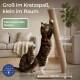 Zwei Katzen mit einem schräg gestellten Sisal-Kratzpfosten (89×43 cm). Sichtbarer deutscher Text: 'Groß im Kratzspaß...', 'Platzsparendes Design' und ein Badge 'Designed in Europe'.