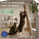 Zwei Katzen mit einem schräg gestellten Sisal-Kratzpfosten (89×43 cm). Sichtbarer deutscher Text: 'Groß im Kratzspaß...', 'Platzsparendes Design' und ein Badge 'Designed in Europe'.