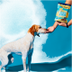 Hund schnuppert an einer Hand, die eine Tüte Pets Deli Immune Boost Soft Bites vor blauem Hintergrund hält.