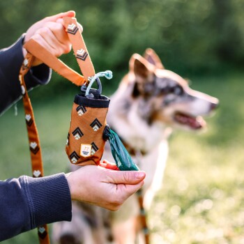 Eine Person hält eine gemusterte orange Hundeleine mit einem Abfallbeutelspender, während ein Hund im Hintergrund unscharf steht.