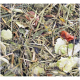 Gros plan d'un mélange d'herbes et de légumes séchés, comprenant des feuilles vertes et de petits morceaux rouges, adapté pour la nourriture pour animaux de compagnie.