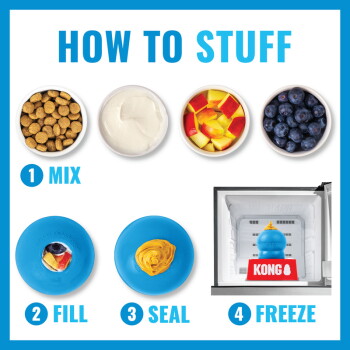 Infographic 'HOW TO STUFF': blue KONG stuffed with kibble, yogurt and fruit — Mix, Fill, Seal, Freeze (KONG logo)