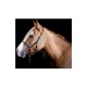 Trainingshalfter Taomero VB/ COB (Vollblut)