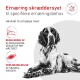 Liegender schwarz-weißer Hund mit dänischem Werbetext 'Ernæring skræddersyet', wobei blodsukker und muskelmassen erwähnt werden.