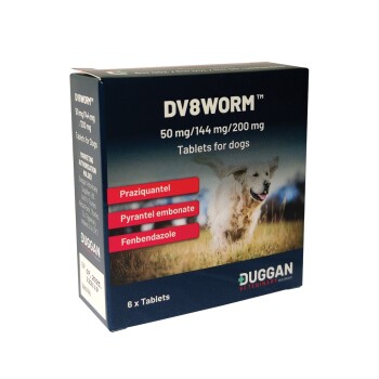 Box of DV8WORM tablets for dogs, containing 6 tablets, with active ingredients Praziquantel, Pyrantel embonate, and Fenbendazole.