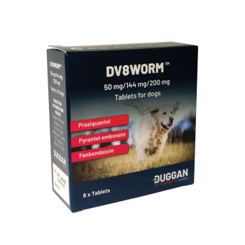 Box of DV8WORM tablets for dogs, containing 6 tablets, with active ingredients Praziquantel, Pyrantel embonate, and Fenbendazole.