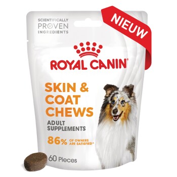 Royal Canin Skin & Coat Chews voor volwassen honden, 60 stuks, met een blije hond op de verpakking en een 'NIEUW' label.