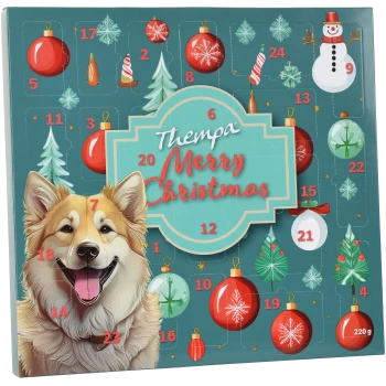 Adventskalender mit einer fröhlichen Hundillustration, Weihnachtsornamenten und dem Text „Thempa Merry Christmas“ auf türkisfarbenem Hintergrund.