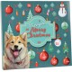 Adventskalender mit einer fröhlichen Hundillustration, Weihnachtsornamenten und dem Text „Thempa Merry Christmas“ auf türkisfarbenem Hintergrund.