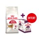 Sac de nourriture pour chat Royal Canin étiqueté "Regular FIT 32" avec une boîte promotionnelle de friandises pour chats "Sensory," présentant le texte "+ OFFERT" en rouge.