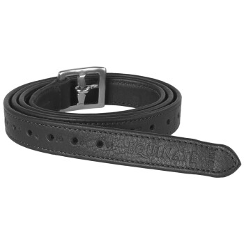 Schwarzes Leder-Haustierhalsband mit einer silbernen Schnalle, das den geprägten Text "EQUINATE" entlang des Riemens zeigt.