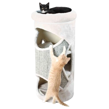 Eine schwarze Katze sitzt auf einem plüschigen, zylindrischen Katzenbaum, während eine hellorange Katze sich streckt, um die Seite zu kratzen.