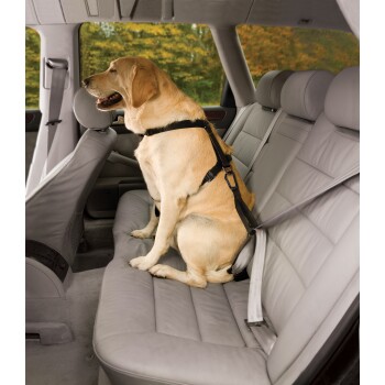 Harnais de sécurité voiture pour chien ou chat VIVOG - DOGFRENCHTOUCH