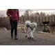 Eine Frau in einer roten Jacke führt einen weißen Hund mit Stiefeln und einem Geschirr entlang eines Weges am See, mit einer Holzbrücke im Hintergrund.