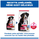 Sacs de nourriture Hill's Science Plan avec un bouvier bernois ; texte visible « RECETTE AMÉLIORÉE, MÊME GOÛT DÉLICIEUX » et « ACTIBIOME+ »