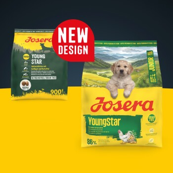 Josera YoungStar getreidefreie Junior-Hundefutterbeutel mit Huhn und Kartoffel, mit Welpenbild und "NEUES DESIGN" Etikett.