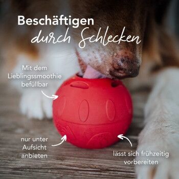 Hund leckt roten Belohnungsball; deutscher Text: 'Beschäftigen durch Schlecken' - Hinweise zum Befüllen mit Smoothie und zur Beaufsichtigung.
