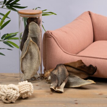 Ein Glasbehälter mit großen, getrockneten Tierohren steht neben einem rosa Haustiersofa auf einem Holztisch, mit zwei geknoteten Seilspielzeugen in der Nähe.