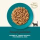 Katzenfutter auf einem tealfarbenen Teller, mit zerrissenem Fisch und dem Text 'hauptzutaten: makrele, thunfishfilet, fischbrühe, reis' und '100% NATURAL INGREDIENTS.'
