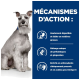 Un chien est assis à côté d'un panneau bleu mettant en avant les avantages de la nourriture pour animaux : digestible, prébiotiques, gingembre, antioxydants et Oméga-3.