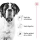 Gros plan d'un chien Saint Bernard avec un texte mettant en avant les bienfaits : "Santé des articulations", "Santé digestive" et "Soutien optimal de la vitalité."
