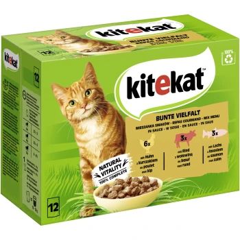 Multipack Bunte Vielfalt in Sauce 12x85 g Grüne Kitekat Katzenfutterbox mit einer orangefarbenen getigerten Katze, beschriftet "Bunte Vielfalt", enthält 12 Beutel mit Huhn, Rind und Lachs.