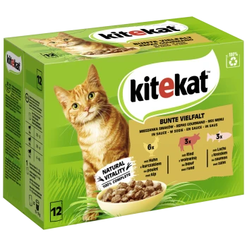 Grüne Kitekat Katzenfutterbox mit einer orangefarbenen getigerten Katze, beschriftet "Bunte Vielfalt", enthält 12 Beutel mit Huhn, Rind und Lachs.