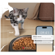 Eine graue getigerte Katze nähert sich einer Schüssel mit Trockenfutter, während ein Smartphone Benachrichtigungen für Bewegungs- und Geräuscherkennung anzeigt.