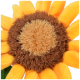 Nahaufnahme eines plüschigen Sonnenblumen-Spielzeugs mit leuchtend gelben Blütenblättern und einem weichen braunen Zentrum, entworfen für Haustiere.